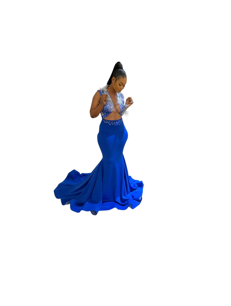 Blue Flared Dress with Feathers