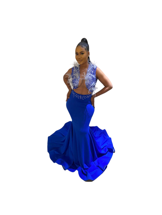 Blue Flared Dress with Feathers