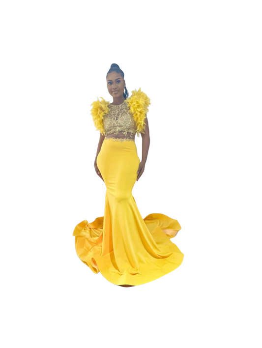 Yellow and Gold Glitters Feather Dress