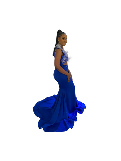 Blue Flared Dress with Feathers
